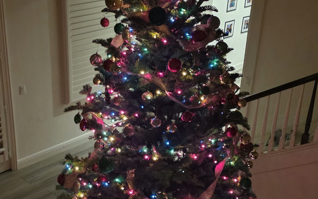 MERRY CHRISTMAS MY BEAUTIFUL FRIENDS!